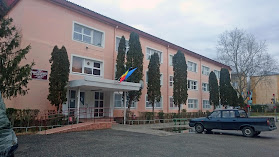 Centrul Şcolar pentru Educaţie Incluzivă Aurora