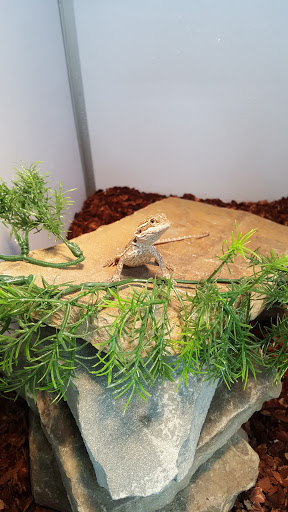 Pet Supply Store «Pet Supermarket, Inc.», reviews and photos, 1052 Peachtree Industrial Blvd, Suwanee, GA 30024, USA