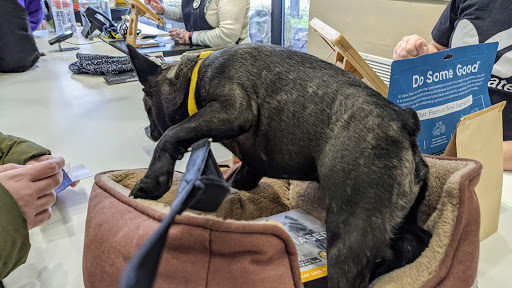 Pet Supply Store «Planet Dog Company Store», reviews and photos, 211 Marginal Way, Portland, ME 04101, USA