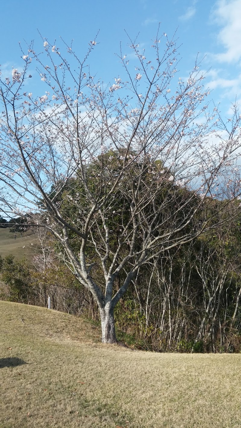 宮本街区公園