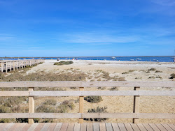 Praia dos Cavacos'in fotoğrafı ve yerleşim