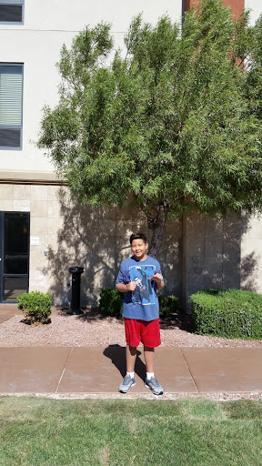 Hotel «Hampton Inn & Suites Las Vegas South», reviews and photos, 3245 St Rose Pkwy, Henderson, NV 89052, USA