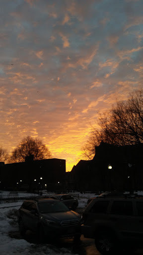 Park «Titus Sparrow Park», reviews and photos, 200 W Newton St, Boston, MA 02118, USA