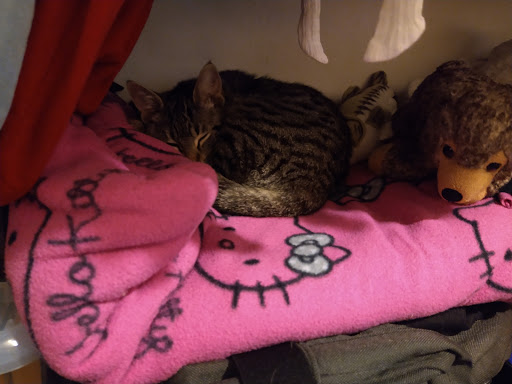 Pet Supply Store «Woodlands Pet Food & Treats», reviews and photos, 902 3rd St, San Rafael, CA 94901, USA