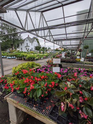 Garden Center «Woodland Gardens», reviews and photos, 168 Woodland St, Manchester, CT 06042, USA