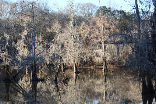 Park «Leake County Water Park», reviews and photos, 1190 Park Rd, Lena, MS 39094, USA