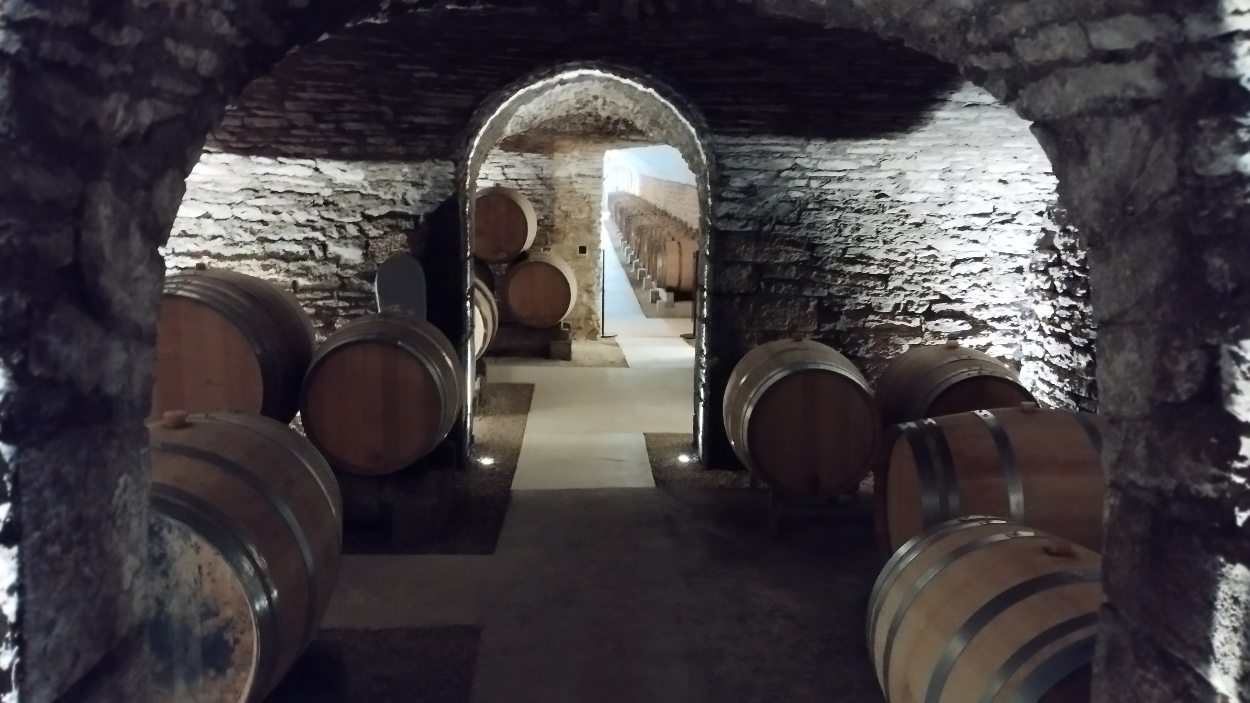 Photo n° 3 de l'avis de Stève.e fait le 21/10/2023 à 17:56