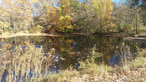 Golf Course «Reston National Golf Course», reviews and photos, 11875 Sunrise Valley Dr, Reston, VA 20191, USA