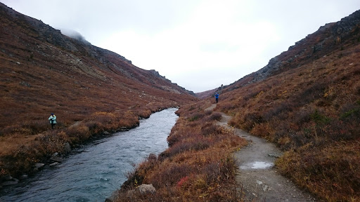 National Park «Denali National Park and Preserve», reviews and photos