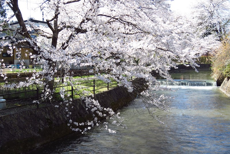 内川親水広場