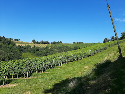Domaine Cauhapé à Monein