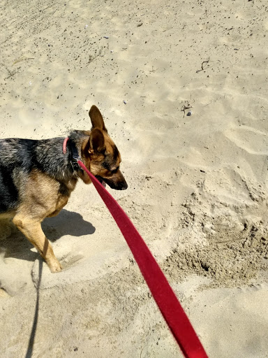 Hotel «Three Rivers Casino & Hotel», reviews and photos, 5647 Oregon 126, Florence, OR 97439, USA