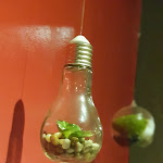 Photo n° 5 de l'avis de Éline.a fait le 02/12/2018 à 11:37 pour La Vieille Forge à Villard-de-Lans