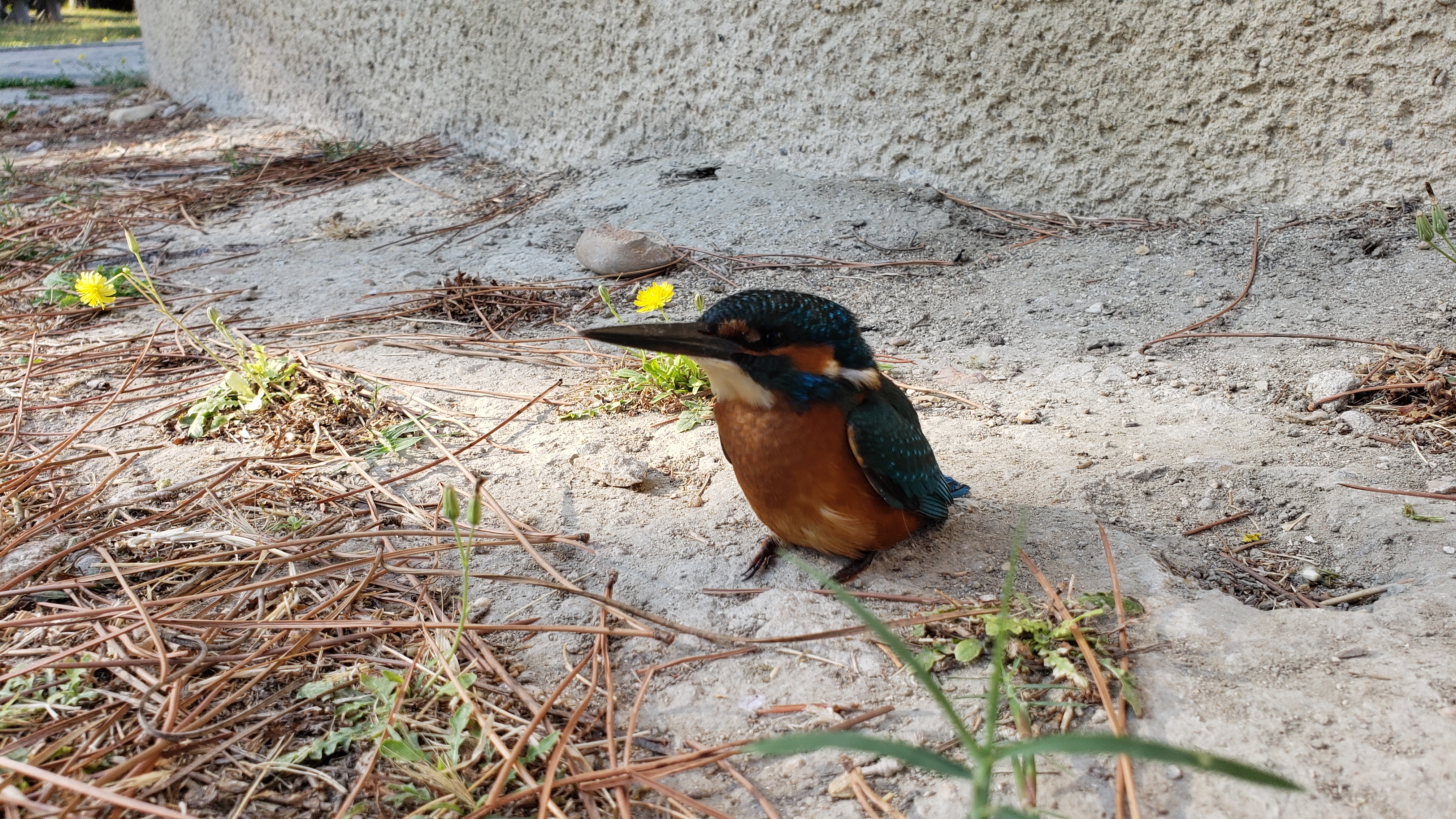 Photo n° 2 de l'avis de Atelier.e fait le 24/08/2019 à 15:08