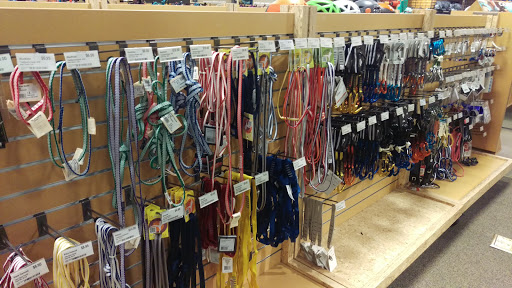 Camping Store «REI», reviews and photos, 710 S Rampart Blvd, Las Vegas, NV 89145, USA