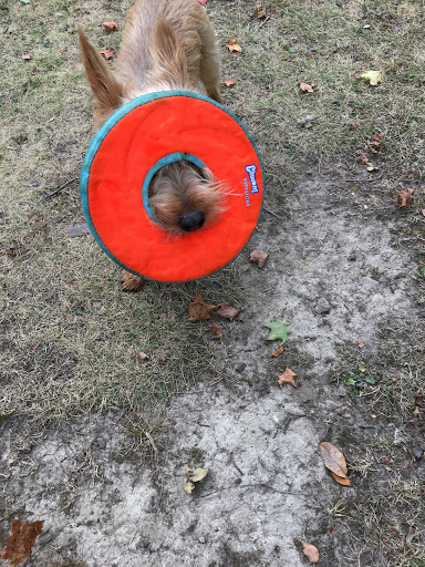Beauty Salon «MoLo Hair & Spa Productions», reviews and photos, 17800 Chillicothe Rd, Chagrin Falls, OH 44023, USA