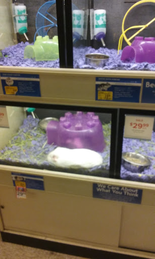 Pet Supply Store «PetSmart», reviews and photos, 12483 Limonite Ave, Mira Loma, CA 91752, USA