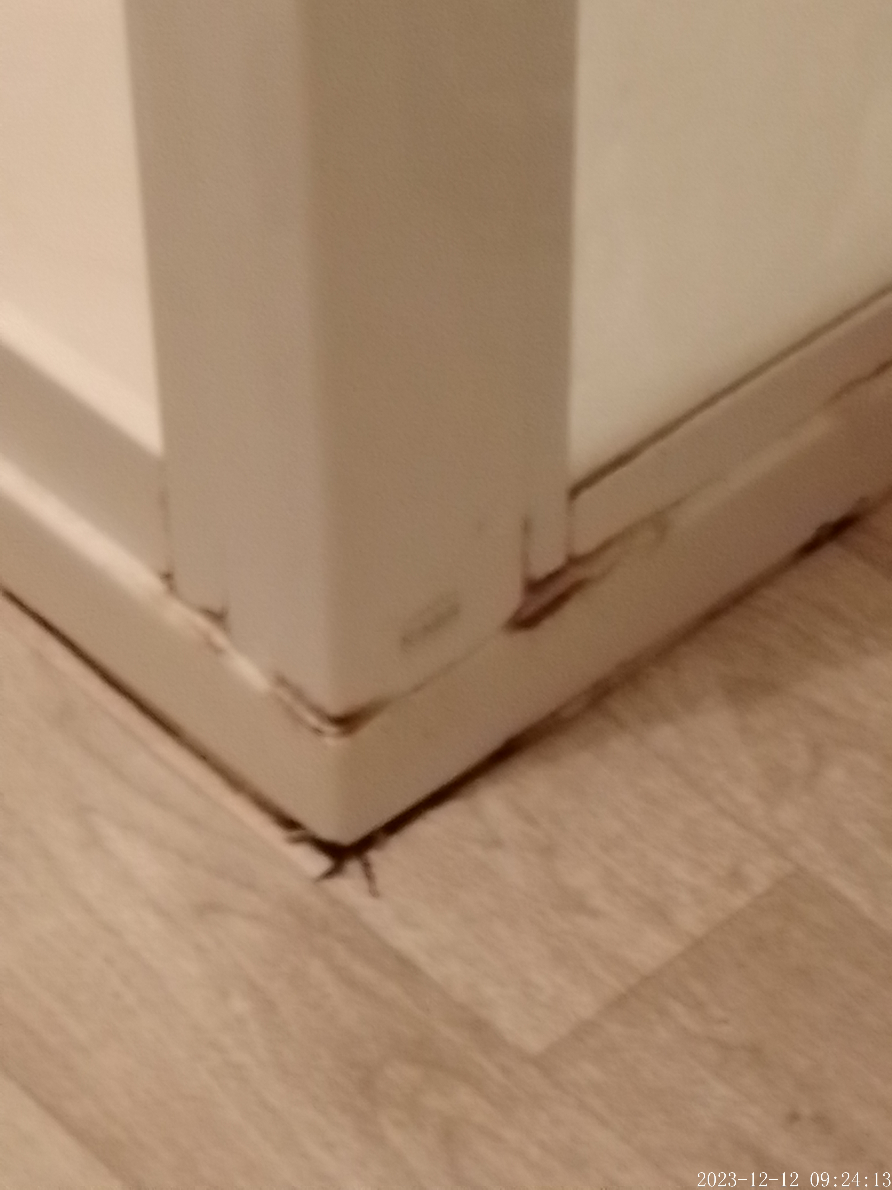Photo n° 5 de l'avis de Guy.a fait le 17/12/2023 à 08:22