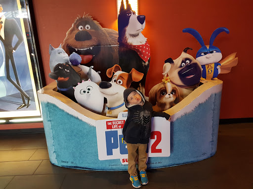 Movie Theater «AMC Cherry Blossom 14», reviews and photos, 3825 Marketplace Cir, Traverse City, MI 49684, USA