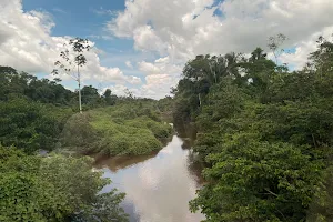 Jaru River image
