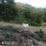 Photo n°1 de l'avis de Colin.5 fait le 15/07/2022 à 19:00 sur le  Birrificio Montecassino à Cassino