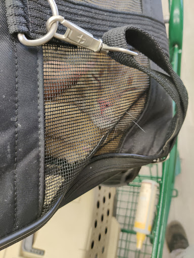 Pet Supply Store «Pet Supplies Plus», reviews and photos, 3100 Manchester Rd, Akron, OH 44319, USA