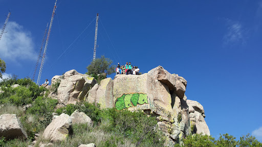 Cerro del Picacho