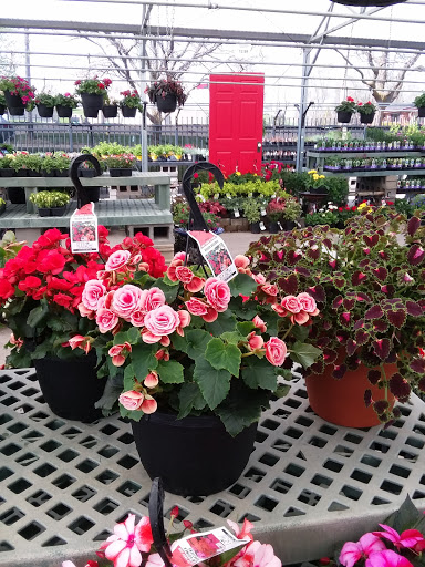 Hardware Store «Ace Hardware & Garden Center», reviews and photos, 20277 Wirt St, Elkhorn, NE 68022, USA