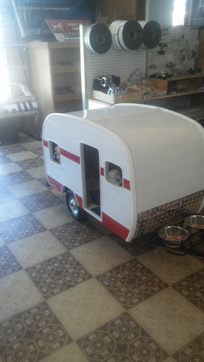 15775 Oakley Rd, Chesaning, MI 48616, USA