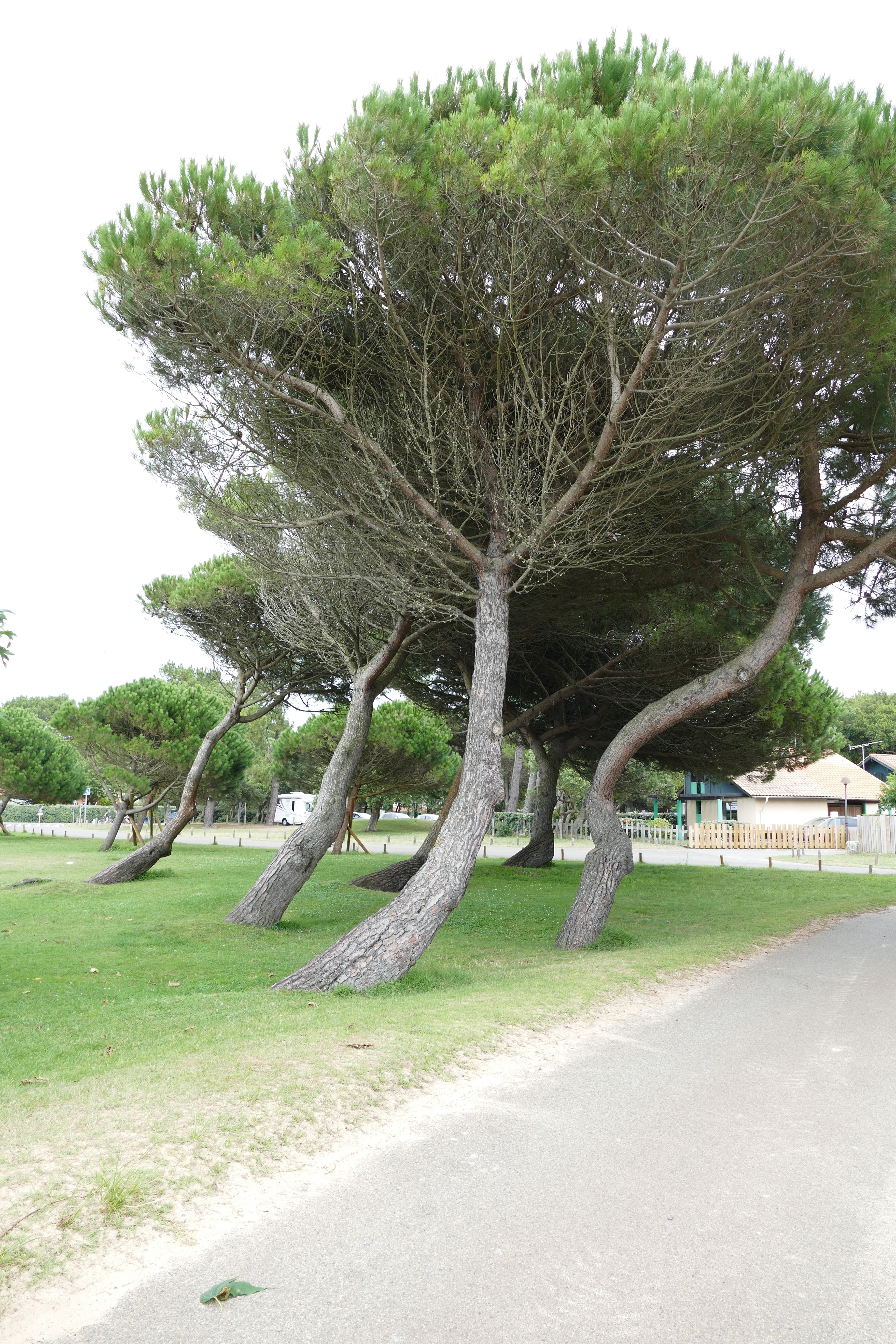 Photo n° 3 de l'avis de Elisabeth.o fait le 08/08/2019 à 18:55