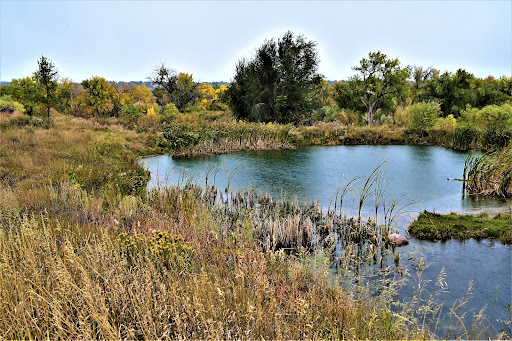 Park «Bear Creek Park», reviews and photos, 3550 S Raleigh St, Denver, CO 80236, USA