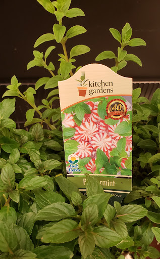 Supermarket «Publix Super Market at Daniels Crossing», reviews and photos, 6900 Daniels Pkwy Ste 19, Fort Myers, FL 33912, USA