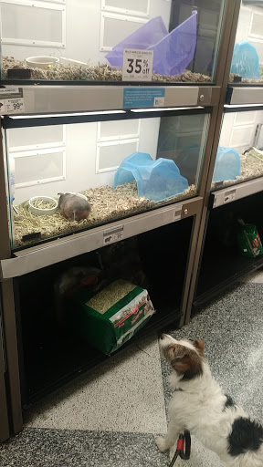 Pet Supply Store «Petco Animal Supplies», reviews and photos, 3577 S Rainbow Blvd, Las Vegas, NV 89103, USA