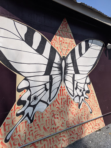 Art Gallery «Art For The People Gallery», reviews and photos, 1711 S 1st St, Austin, TX 78704, USA