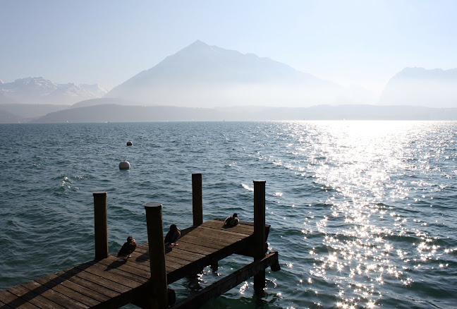 Comentarii opinii despre Käppeli Immobilien