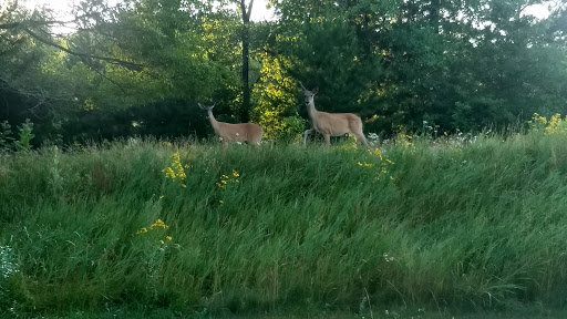 Public Golf Course «Princeton Valley Golf Course», reviews and photos, 2300 W Princeton Ave, Eau Claire, WI 54703, USA