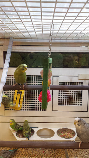 Pet Supply Store «PetSmart», reviews and photos, 2141 N Rose Ave, Oxnard, CA 93036, USA