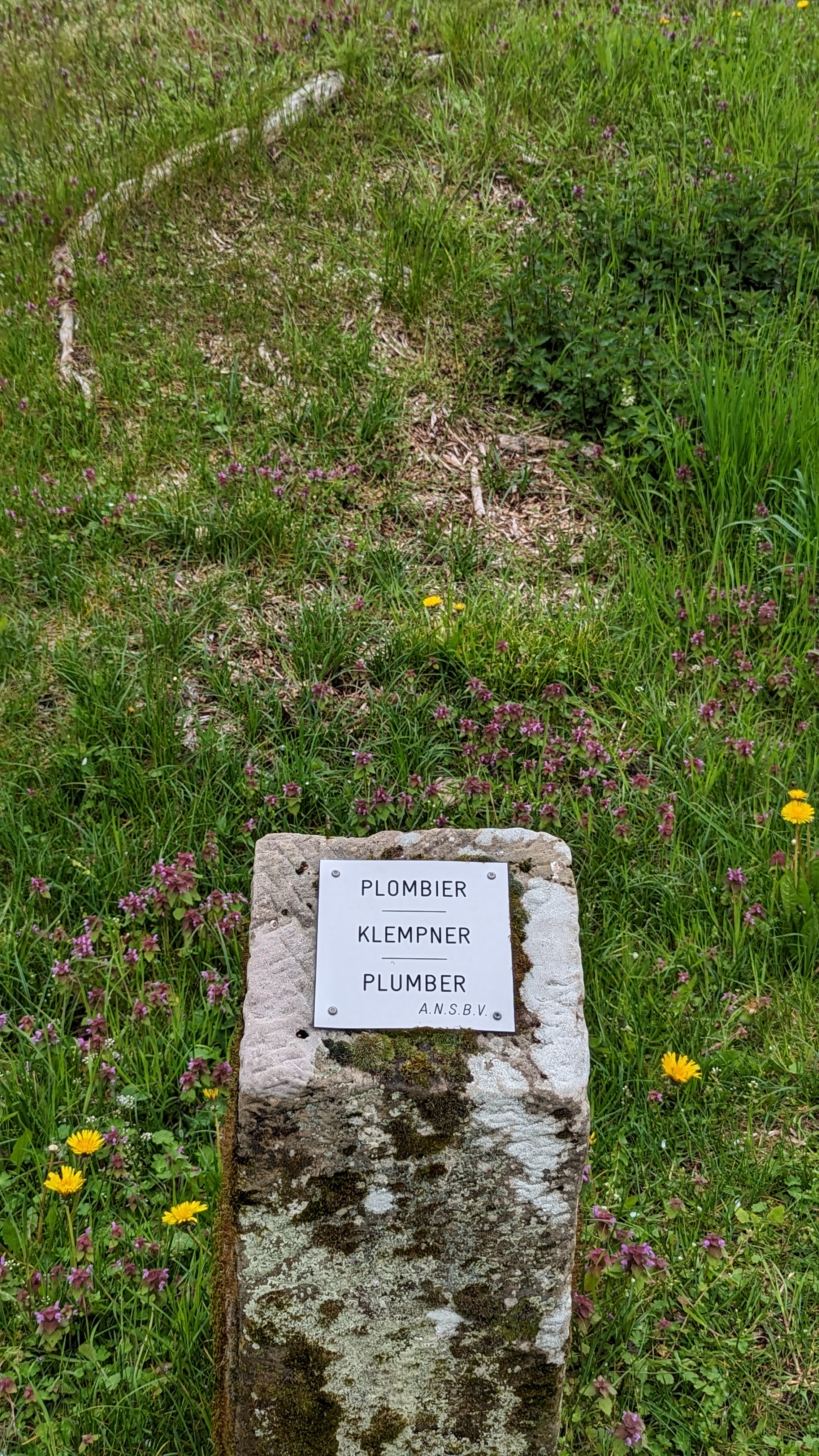 Photo n° 22 de l'avis de Jörg.e fait le 08/05/2023 à 16:19