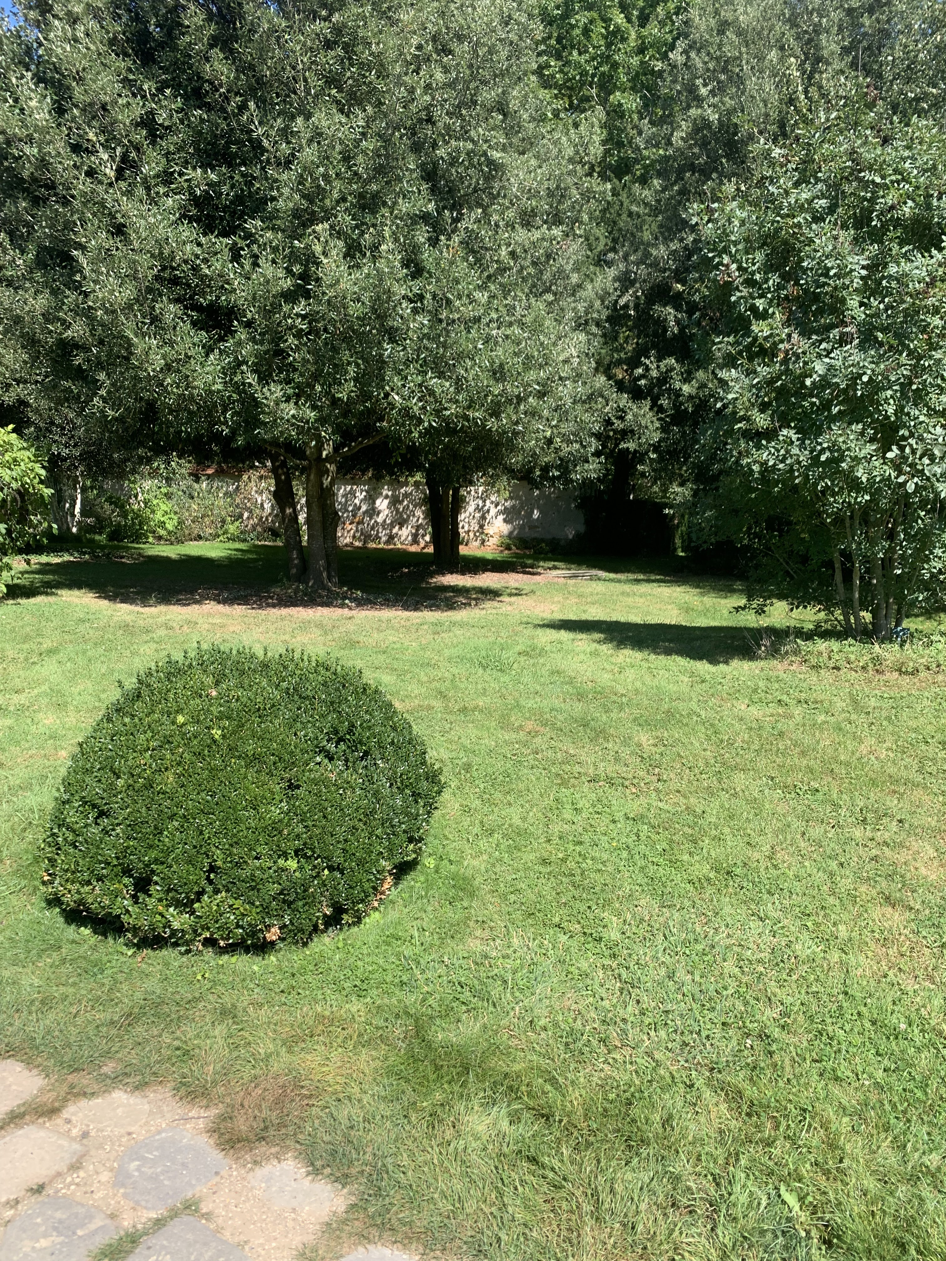 Photo n° 2 de l'avis de Shannah.u fait le 09/09/2023 à 18:52