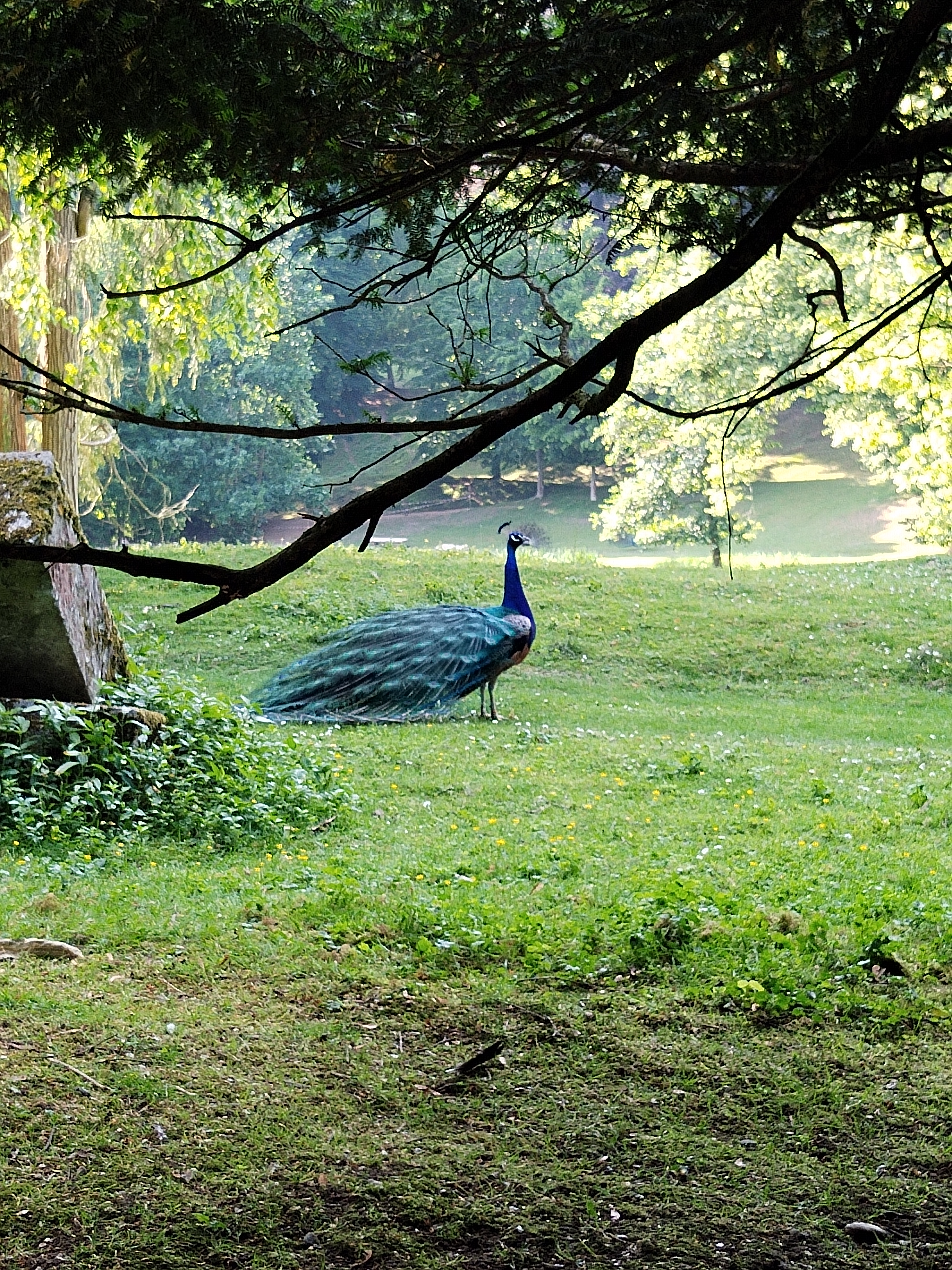 Photo n° 4 de l'avis de patricia. fait le 13/06/2023 à 16:57