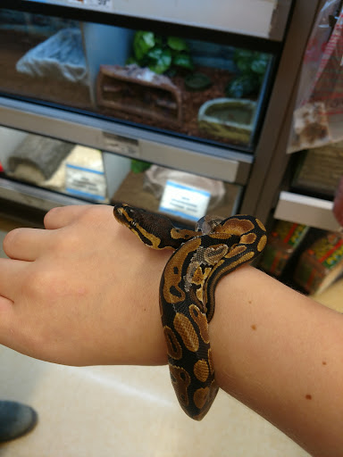 Pet Supply Store «Petco Animal Supplies», reviews and photos, 1621 Emmet St N, Charlottesville, VA 22901, USA