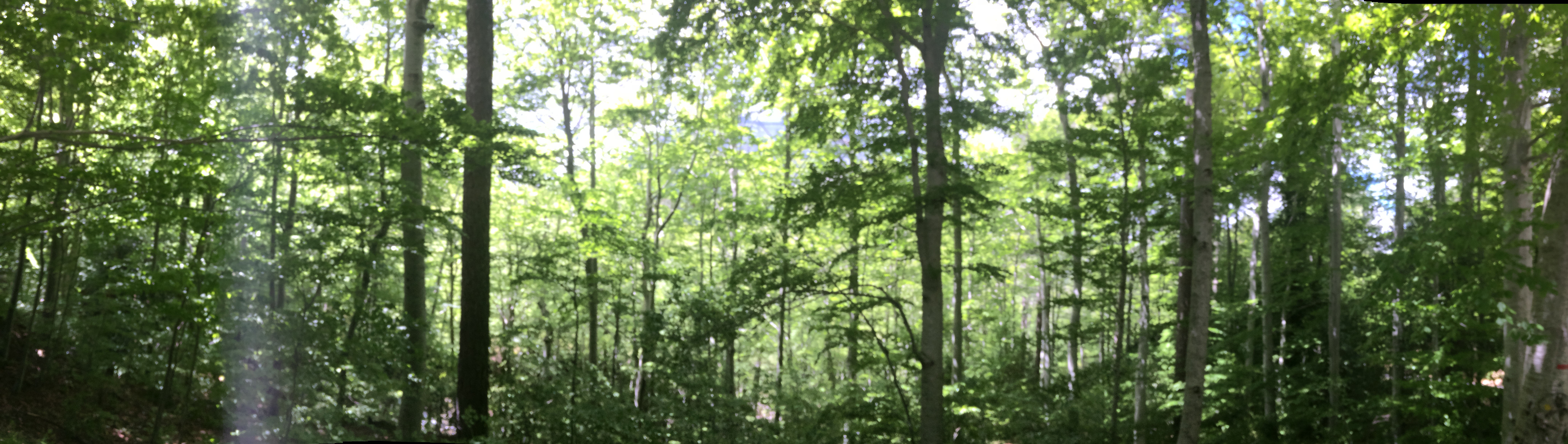 Photo n° 4 de l'avis de Pierre.a fait le 02/06/2019 à 13:25