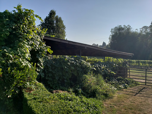 Winery «Bethany Vineyard & Winery», reviews and photos, 4115 NE 259th St, Ridgefield, WA 98642, USA
