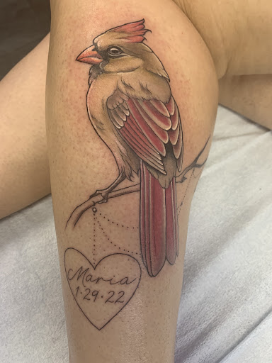 Tattoo Shop «Black Rose Tattoo Shop», reviews and photos, 3300 W Hillsboro Blvd, Deerfield Beach, FL 33442, USA