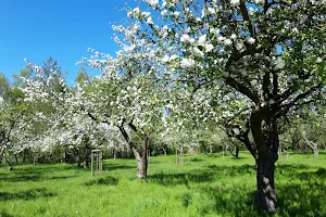 Obstwiese Wunstorf image