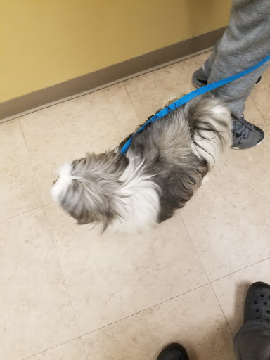 Pet Supply Store «Petco Animal Supplies», reviews and photos, 86 Storrs Rd, Mansfield Center, CT 06250, USA