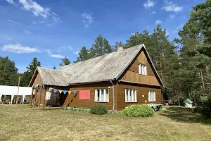 Dzūkų namas image