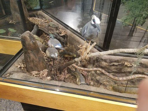 National Park «Congaree National Park», reviews and photos