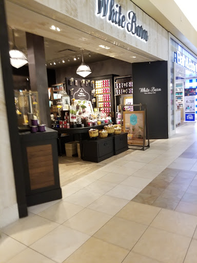 Shopping Mall «Harford Mall», reviews and photos, 696 Belair Rd, Bel Air, MD 21014, USA