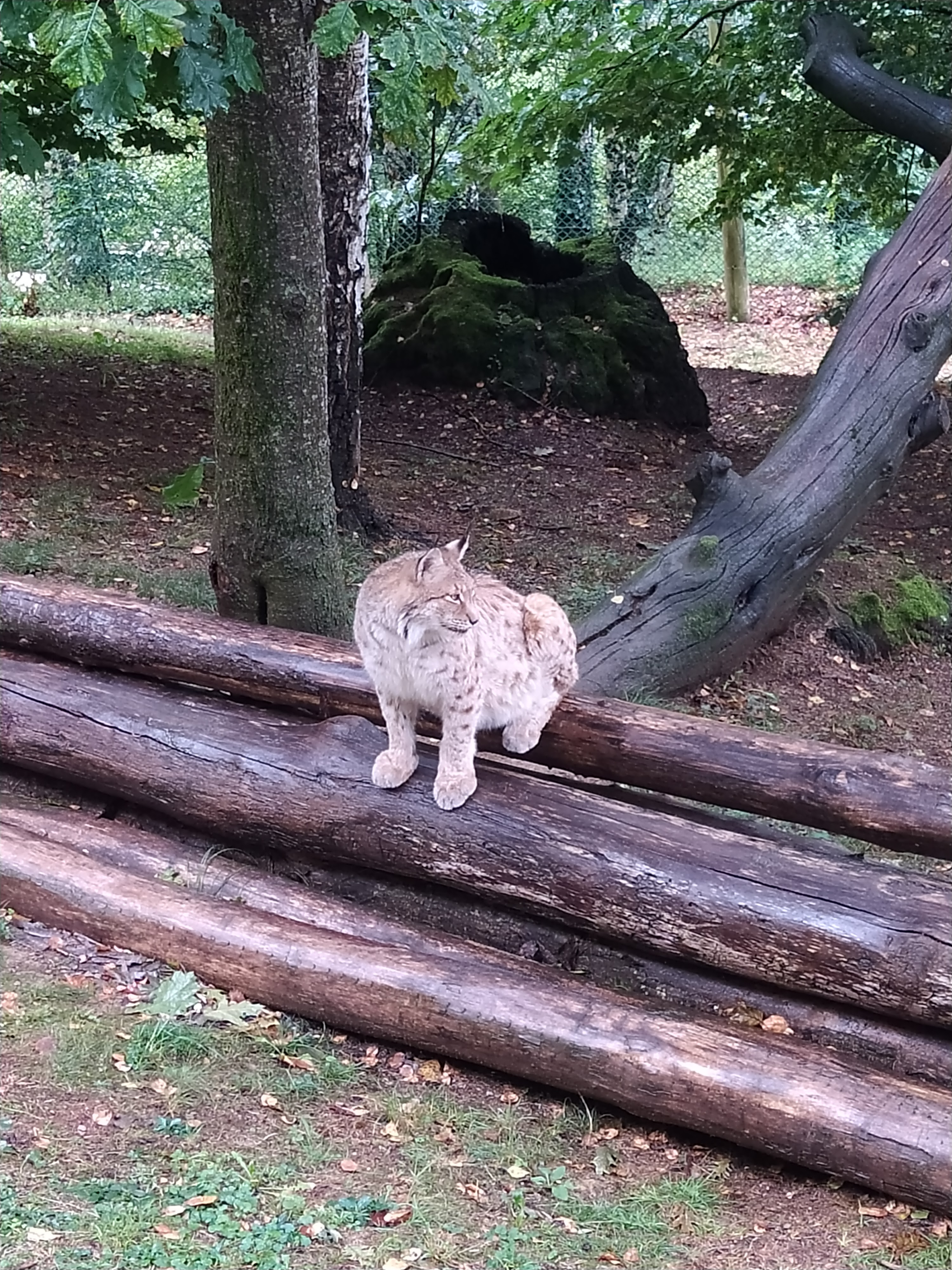 Photo n° 3 de l'avis de Raphael.. fait le 27/08/2023 à 16:43